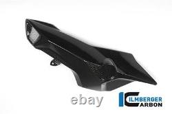 Ilmberger GLOSS Carbon Fibre Air Tube Intake Snorkel Duct Covers BMW F800R 2015