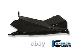 Ilmberger GLOSS Carbone Fibre Airtube Box Carénages d'Admission Couvre Aprilia RSV4 2014