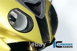 Ilmberger Gloss Carbon Fibre Air Intake Duct Front Centre Pièce Bmw S1000rr 2010